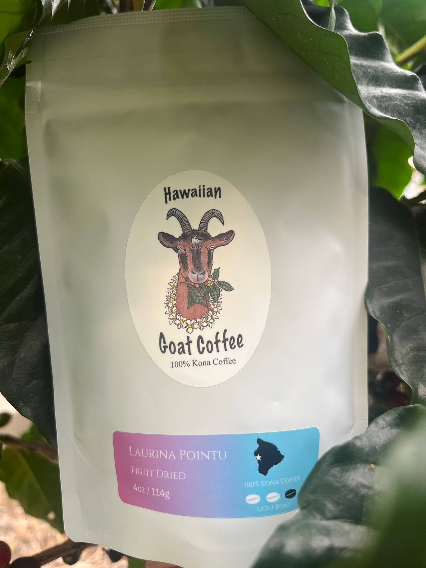 Kona Laurina Pointu - Light Roast - Fruit Dried