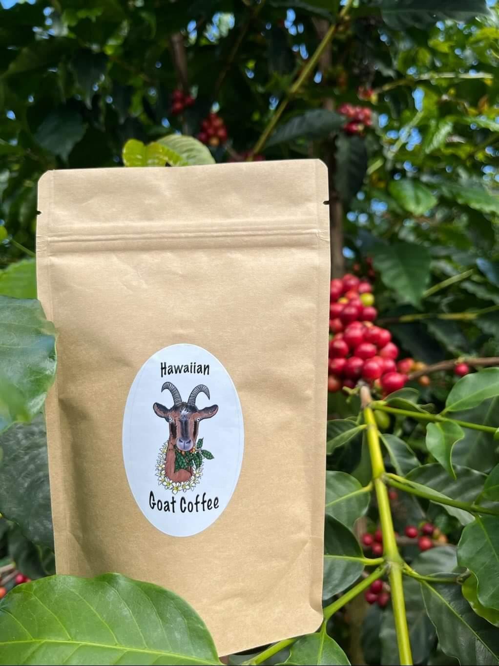 Hawaiian Goat Coffee - Distribution Service in Kailua Kona