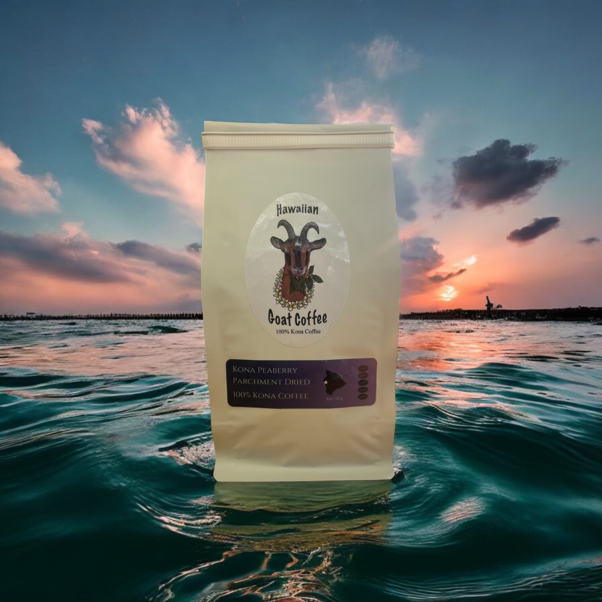 Kona Peaberry - Typica Parchment Dried