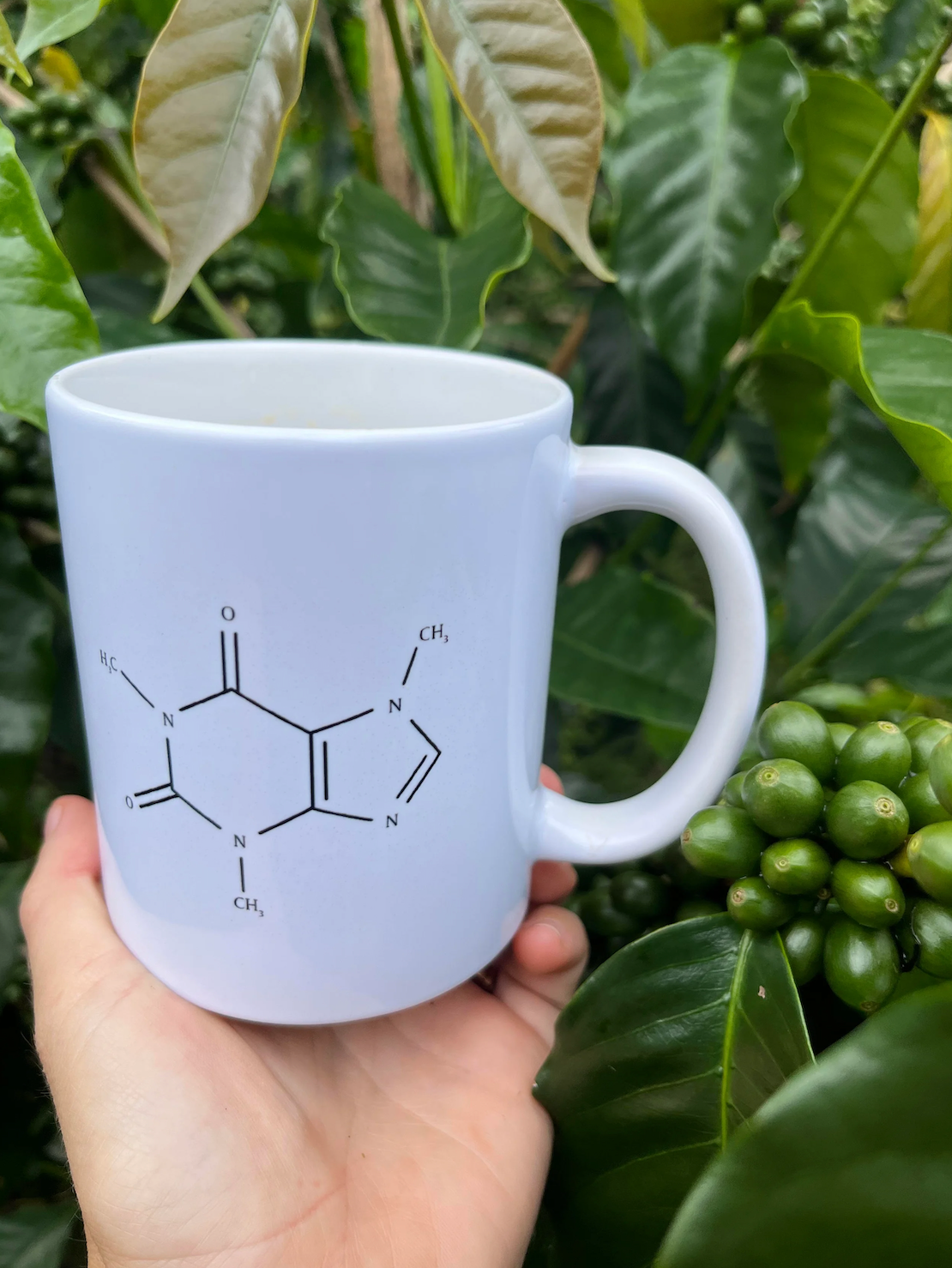 11oz Hawaiian Goat Coffee Logo Mug