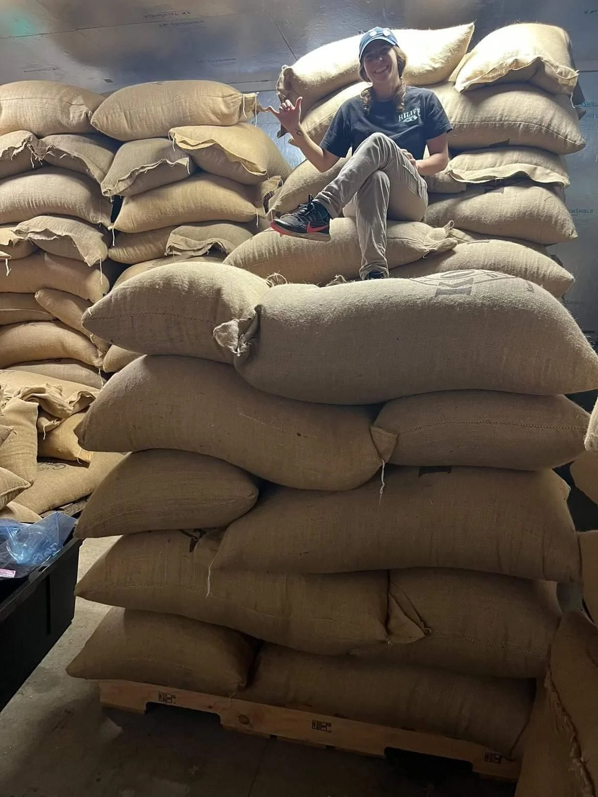 Unroasted Kona Typica