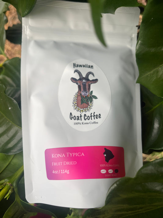 Kona Typica - Light Roast - Fruit Dried